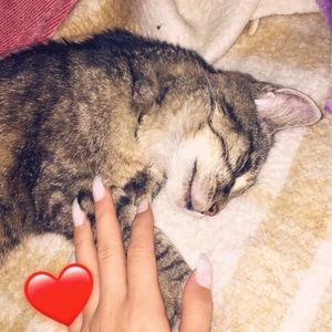 Meet your Posher, Emma